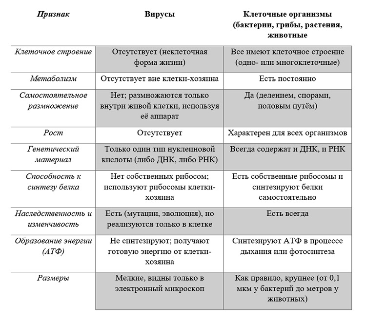 Учебник по биологии 10 класс. Авторы: Пасечник, Каменский. Страница 104, год 2026.