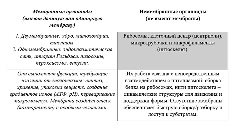 Учебник по биологии 10 класс. Авторы: Пасечник, Каменский. Страница 123, год 2026.