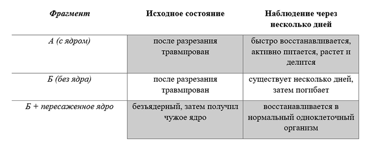 Учебник по биологии 10 класс. Авторы: Пасечник, Каменский. Страница 129, год 2026.