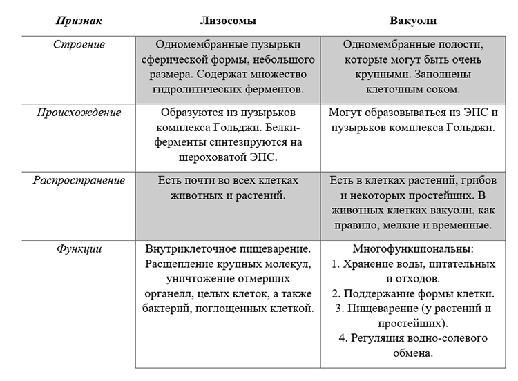 Учебник по биологии 10 класс. Авторы: Пасечник, Каменский. Страница 135, год 2026.
