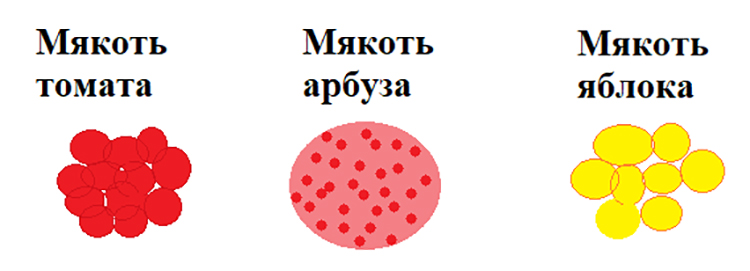 Учебник по биологии 10 класс. Авторы: Пасечник, Каменский. Страница 204, год 2026.