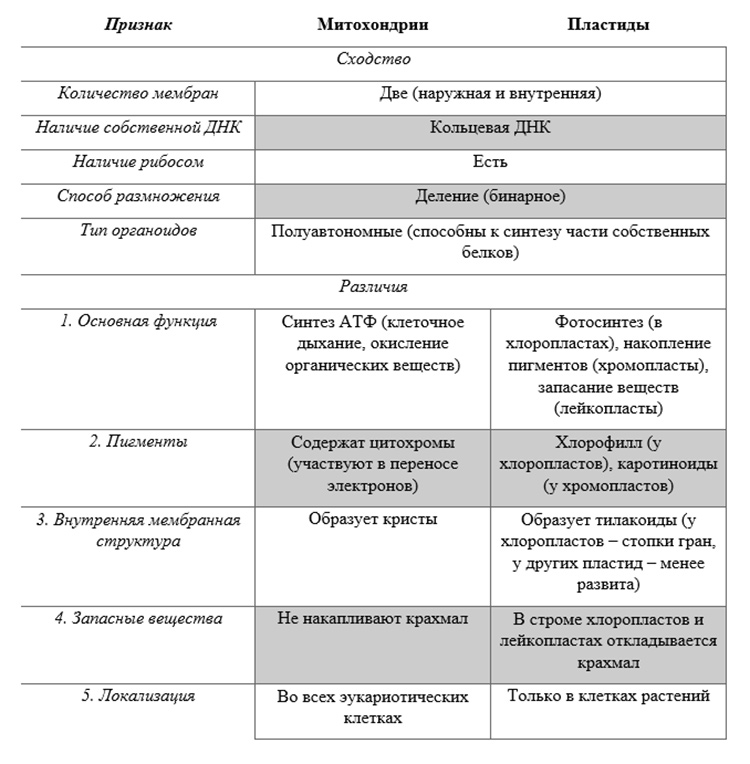 Учебник по биологии 10 класс. Авторы: Пасечник, Каменский. Страница 140, год 2026.