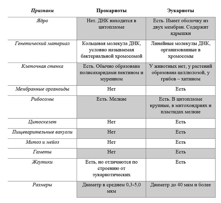 Учебник по биологии 10 класс. Авторы: Пасечник, Каменский. Страница 145, год 2026.