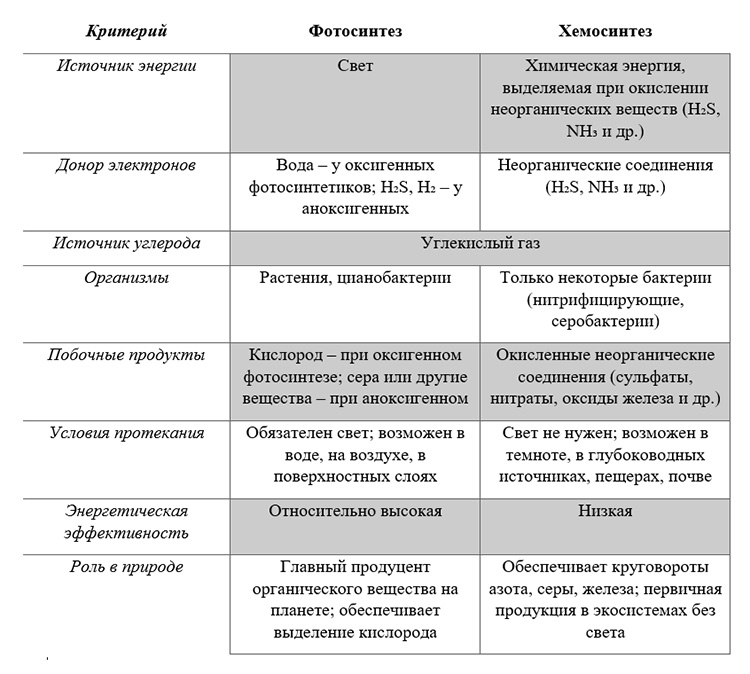 Учебник по биологии 10 класс. Авторы: Пасечник, Каменский. Страница 167, год 2026.