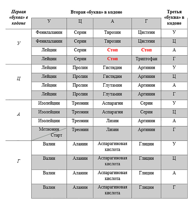 Учебник по биологии 10 класс. Авторы: Пасечник, Каменский. Страница 170, год 2026.