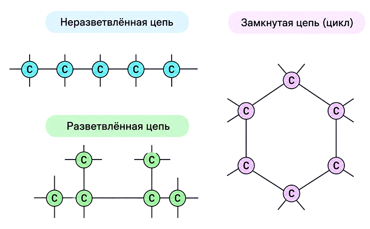 Учебник по биологии 10 класс. Авторы: Пасечник, Каменский. Страница 45, год 2026.