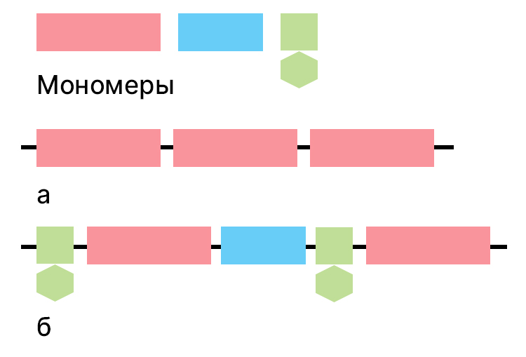 Учебник по биологии 10 класс. Авторы: Пасечник, Каменский. Страница 46, год 2026.