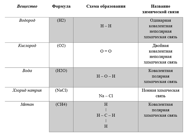 Учебник по биологии 10 класс. Авторы: Пасечник, Каменский. Страница 47, год 2026.