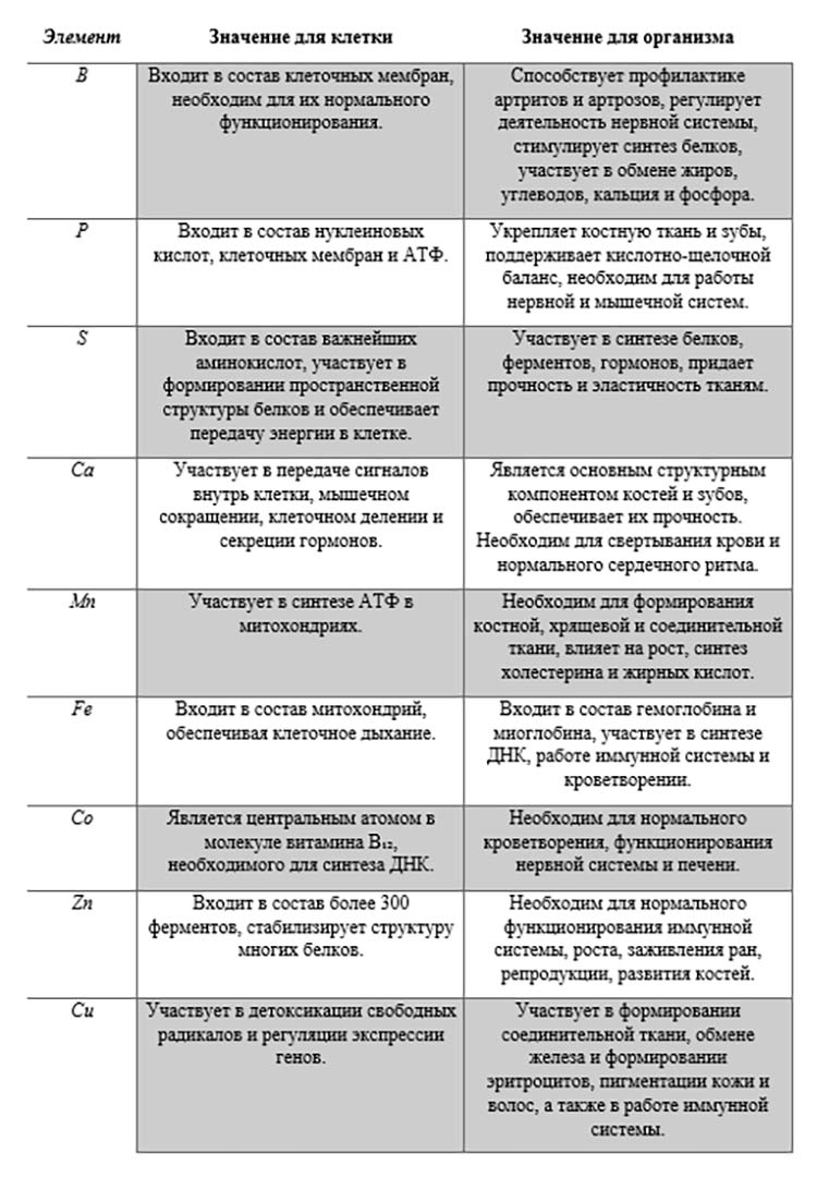 Учебник по биологии 10 класс. Авторы: Пасечник, Каменский. Страница 56, год 2026.