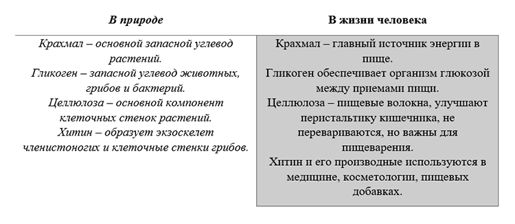Учебник по биологии 10 класс. Авторы: Пасечник, Каменский. Страница 66, год 2026.