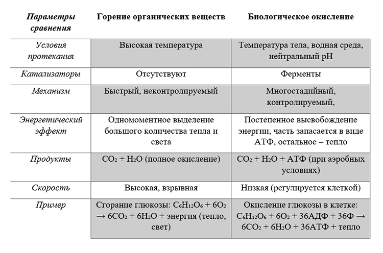 Учебник по биологии 10 класс. Авторы: Пасечник, Каменский. Страница 67, год 2026.