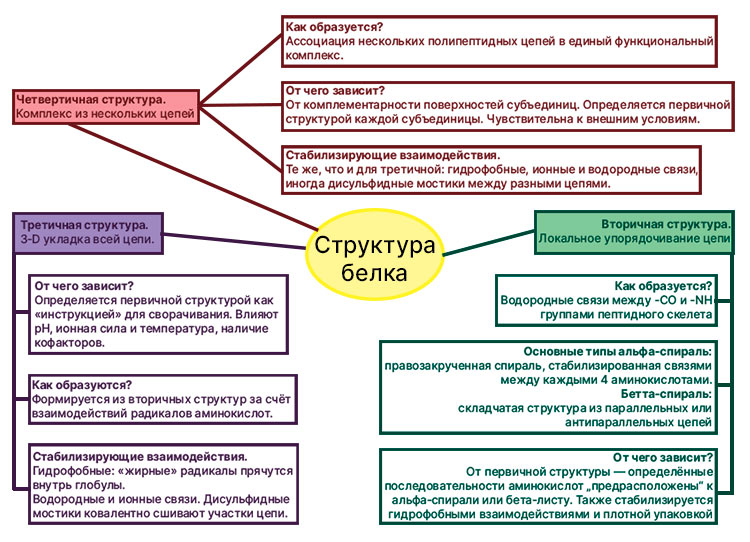 Учебник по биологии 10 класс. Авторы: Пасечник, Каменский. Страница 74, год 2026.