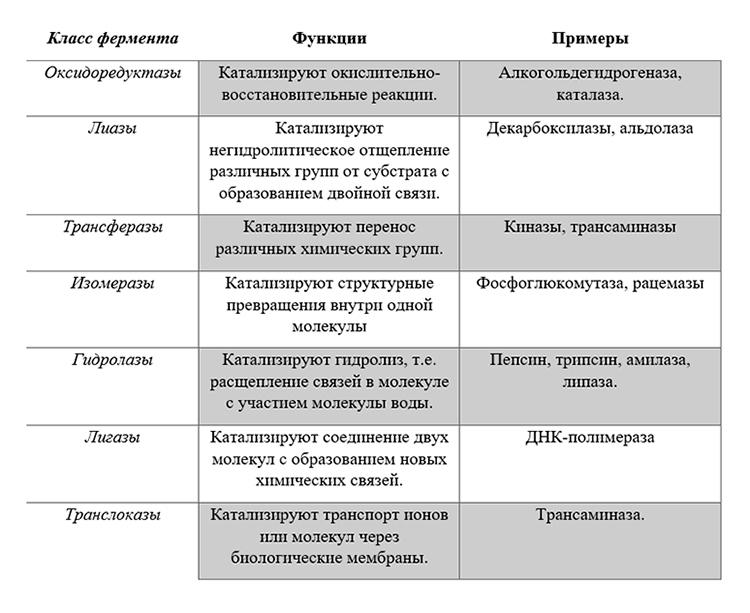 Учебник по биологии 10 класс. Авторы: Пасечник, Каменский. Страница 79, год 2026.