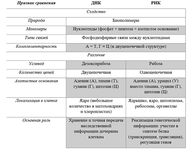 Учебник по биологии 10 класс. Авторы: Пасечник, Каменский. Страница 90, год 2026.