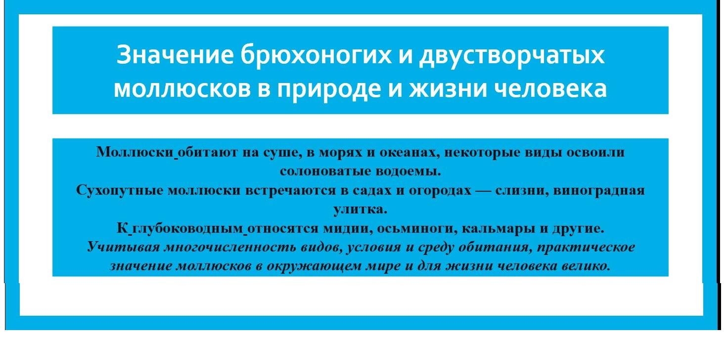  Биология 8 класс учебник Пасечник страница 131. 2023 год