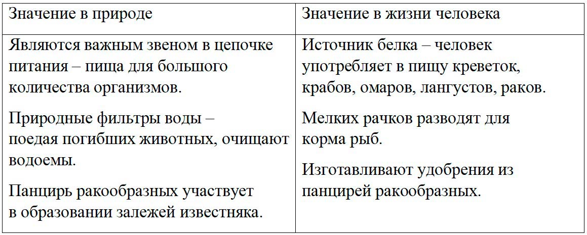  Биология 8 класс учебник Пасечник страница 106. 2023 год