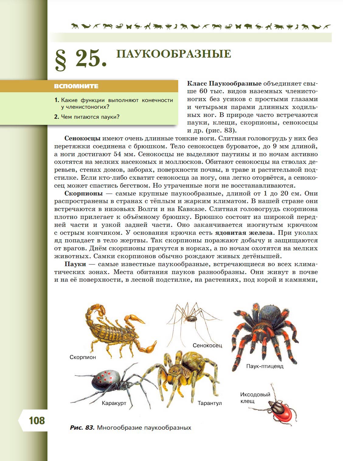  Биология 8 класс учебник Пасечник страница 108. 2023 год