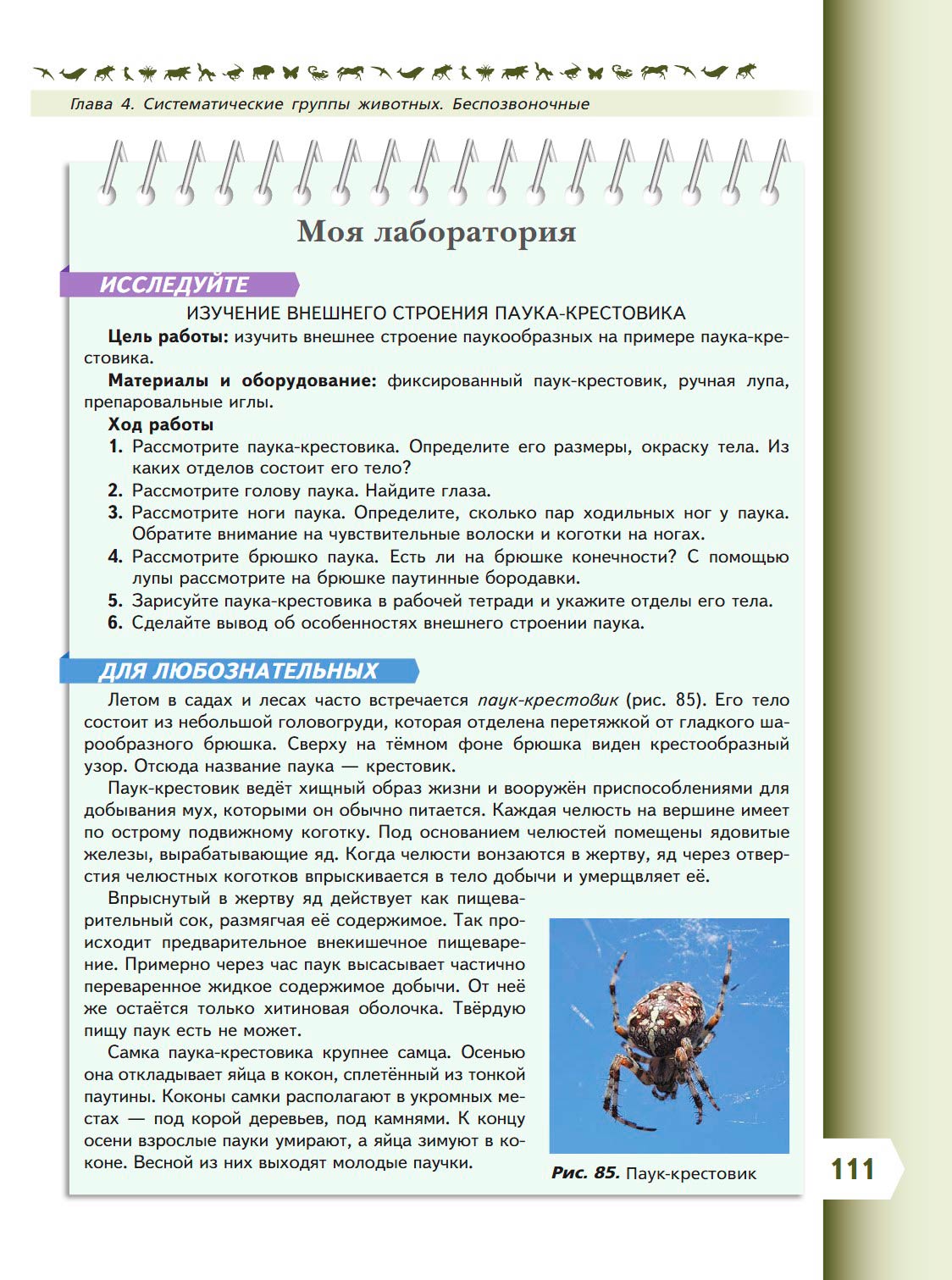  Биология 8 класс учебник Пасечник страница 111. 2023 год