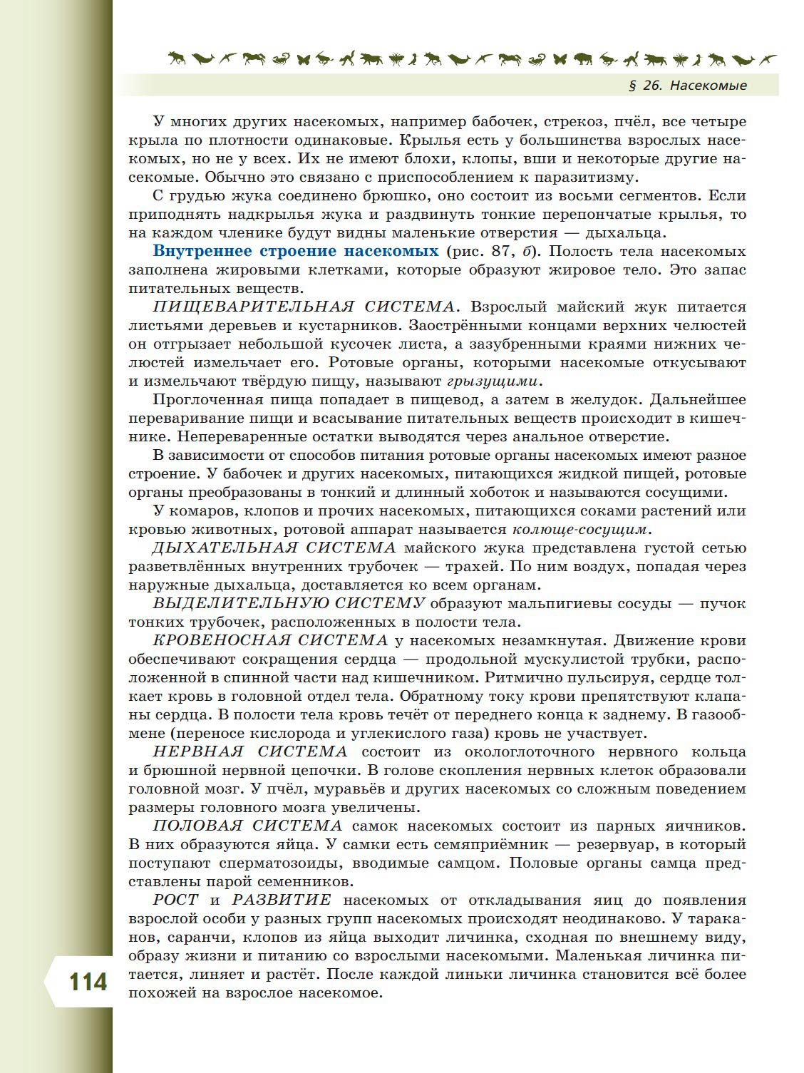  Биология 8 класс учебник Пасечник страница 114. 2023 год