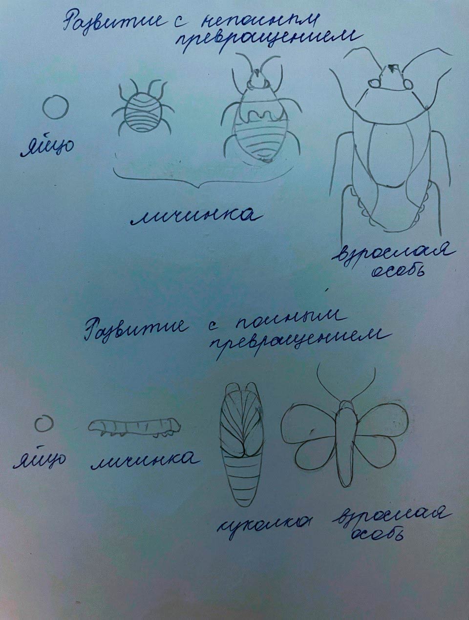  Биология 8 класс учебник Пасечник страница 121. 2023 год