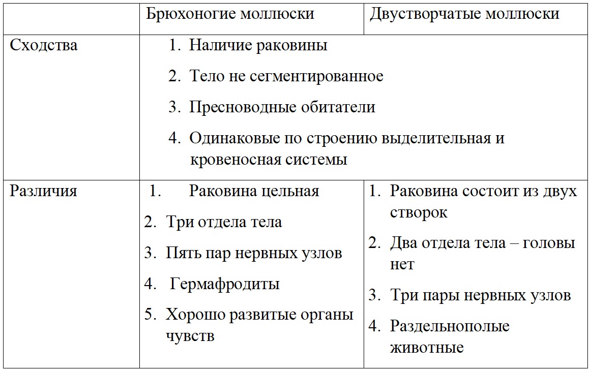  Биология 8 класс учебник Пасечник страница 131. 2023 год