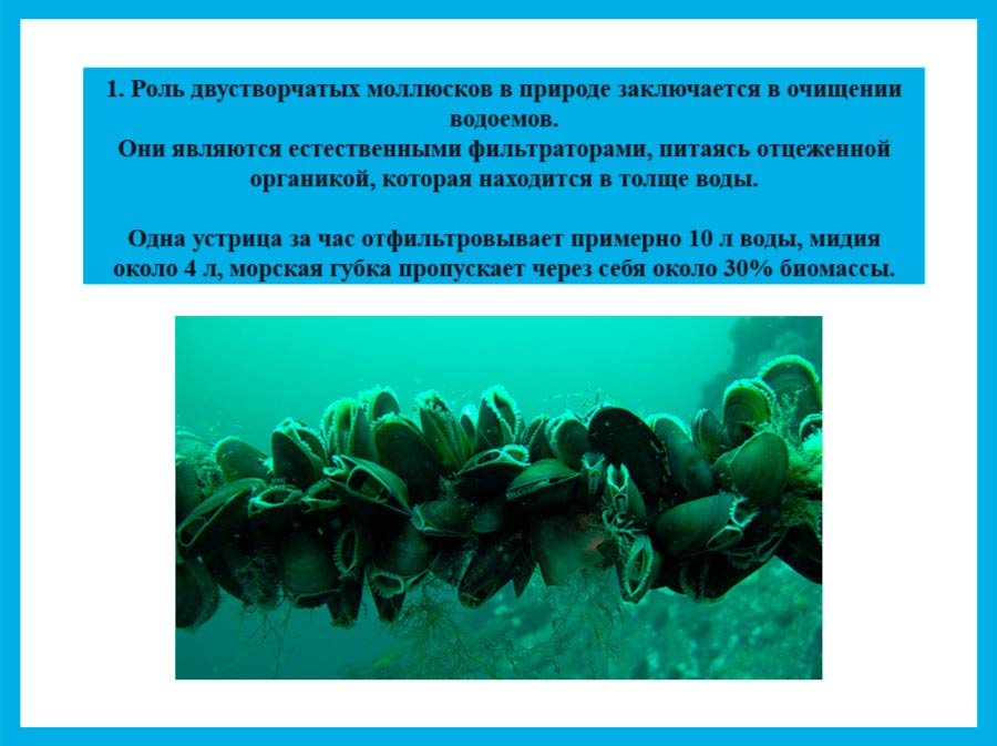  Биология 8 класс учебник Пасечник страница 131. 2023 год