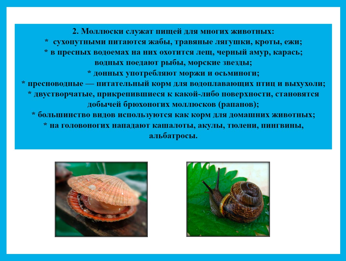  Биология 8 класс учебник Пасечник страница 131. 2023 год