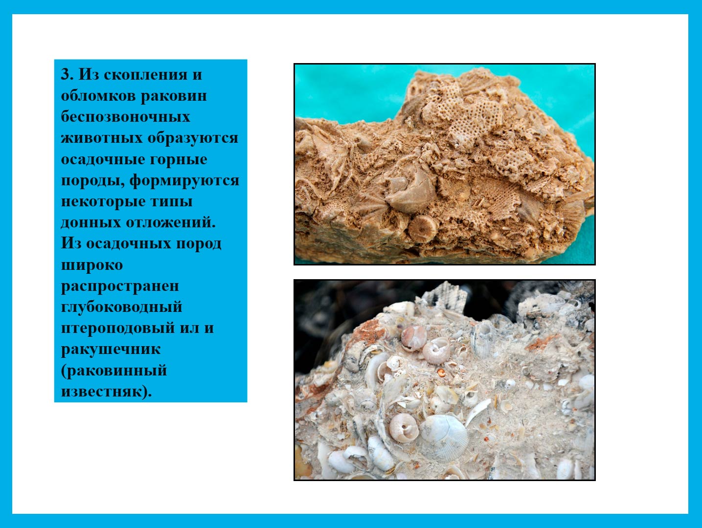  Биология 8 класс учебник Пасечник страница 131. 2023 год