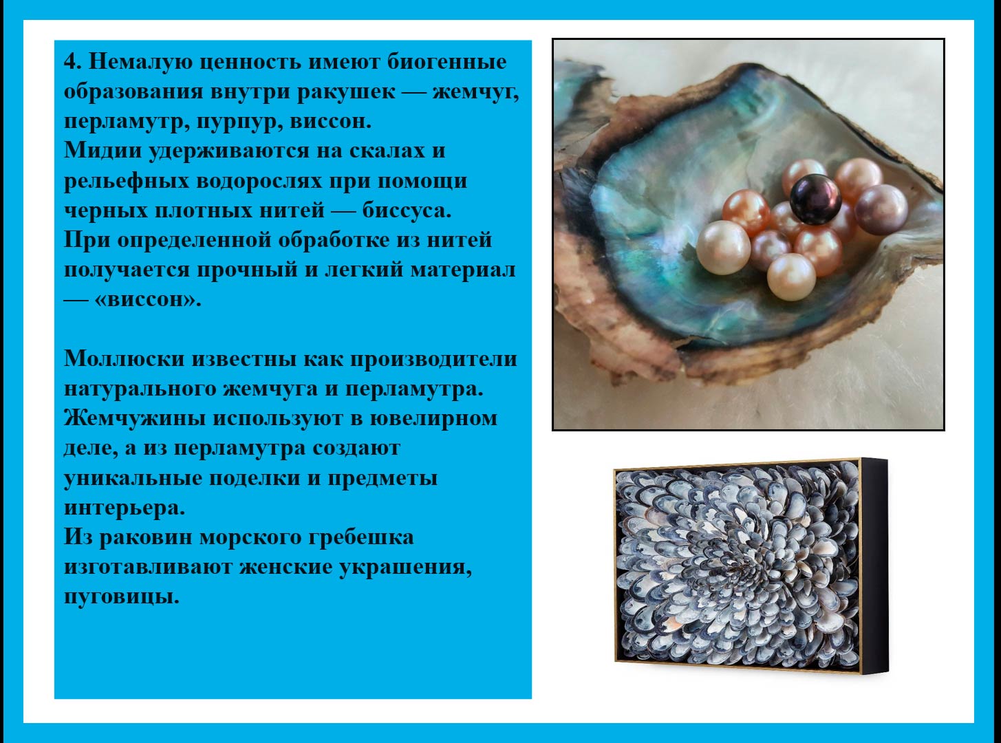  Биология 8 класс учебник Пасечник страница 131. 2023 год