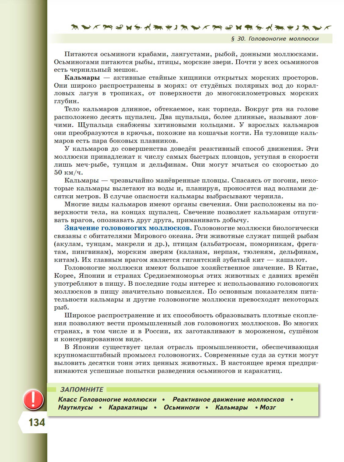  Биология 8 класс учебник Пасечник страница 134. 2023 год