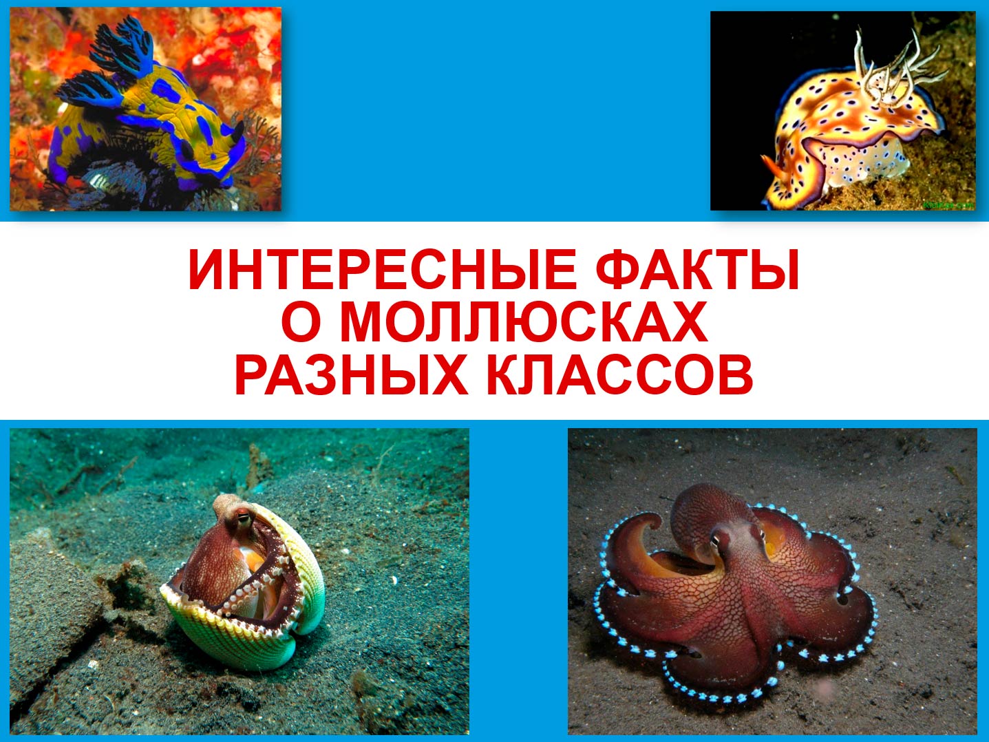  Биология 8 класс учебник Пасечник страница 135. 2023 год