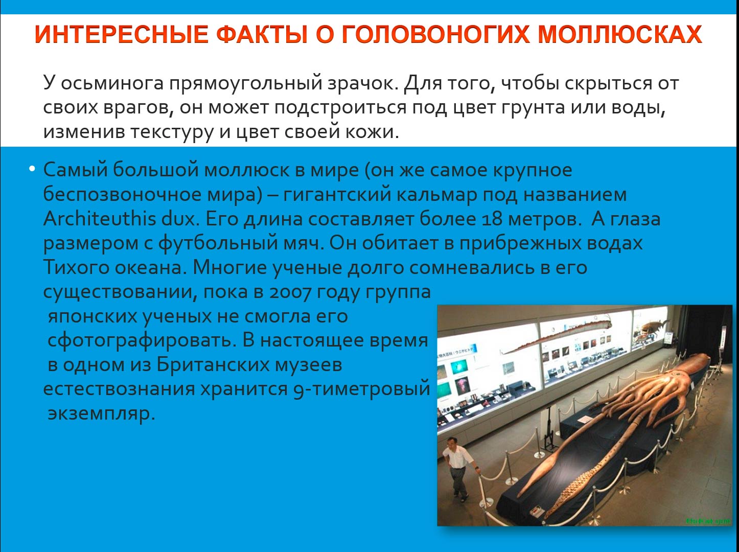  Биология 8 класс учебник Пасечник страница 135. 2023 год