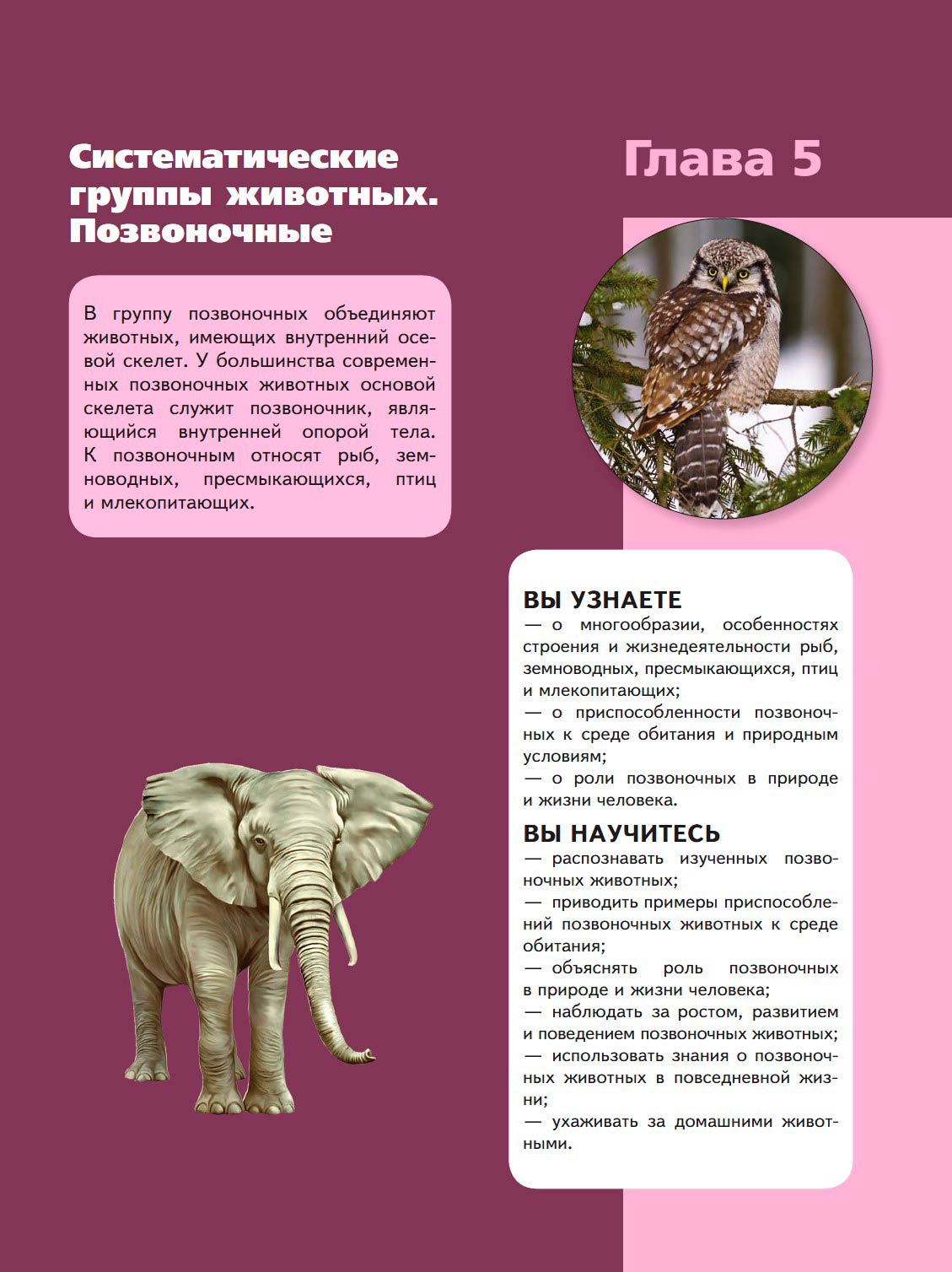  Биология 8 класс учебник Пасечник страница 139. 2023 год