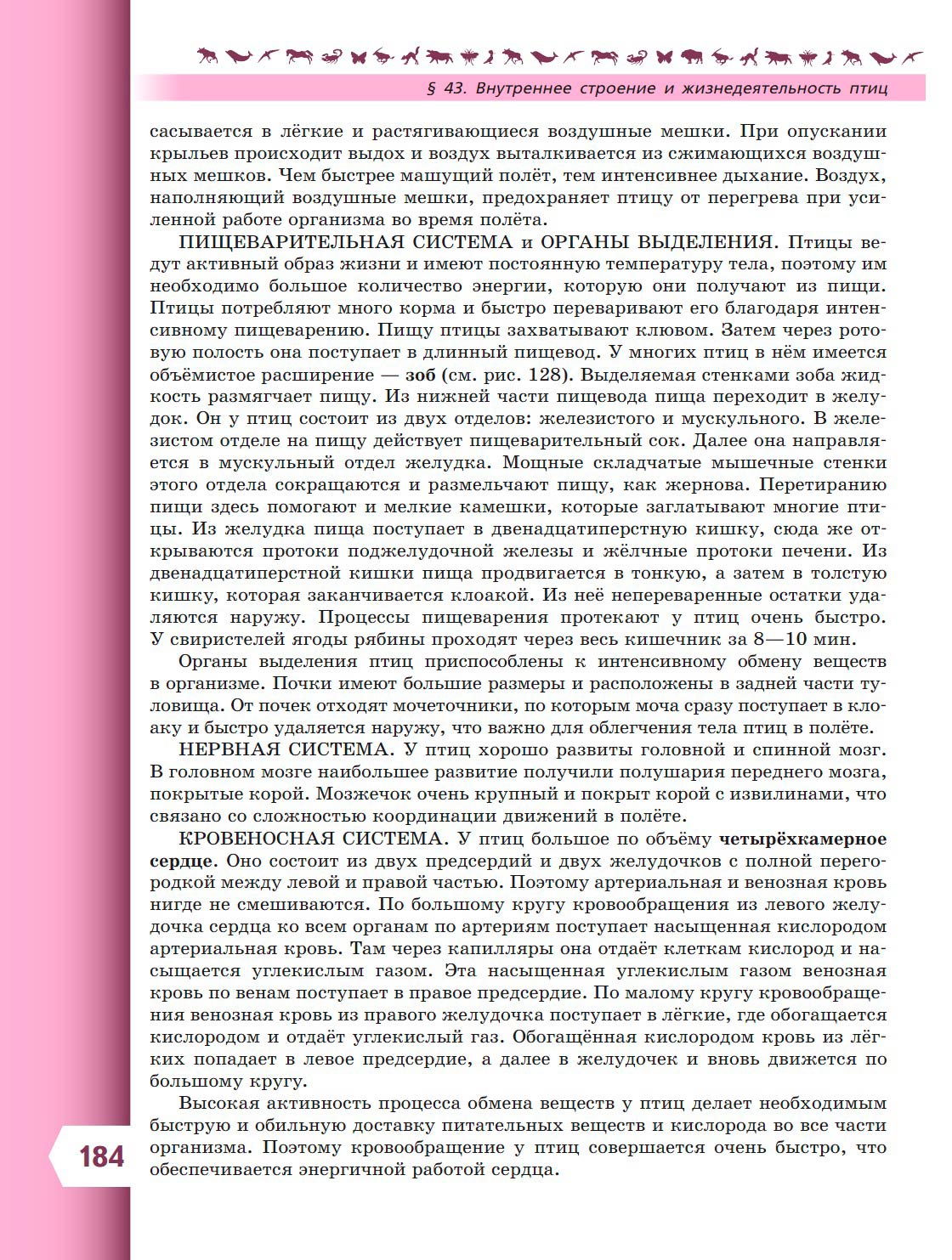  Биология 8 класс учебник Пасечник страница 184. 2023 год