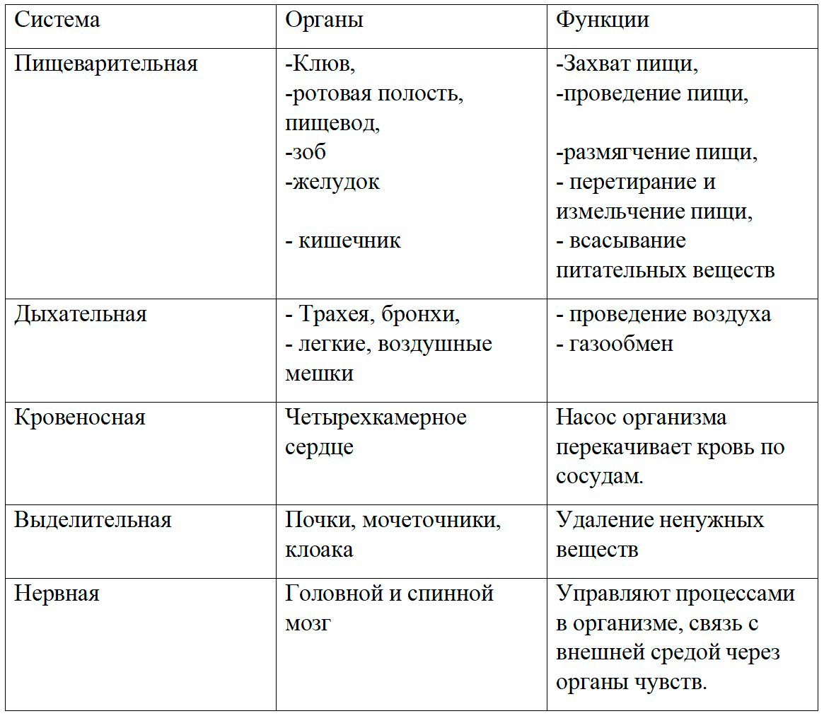 Биология 8 класс учебник Пасечник страница 185. 2023 год
