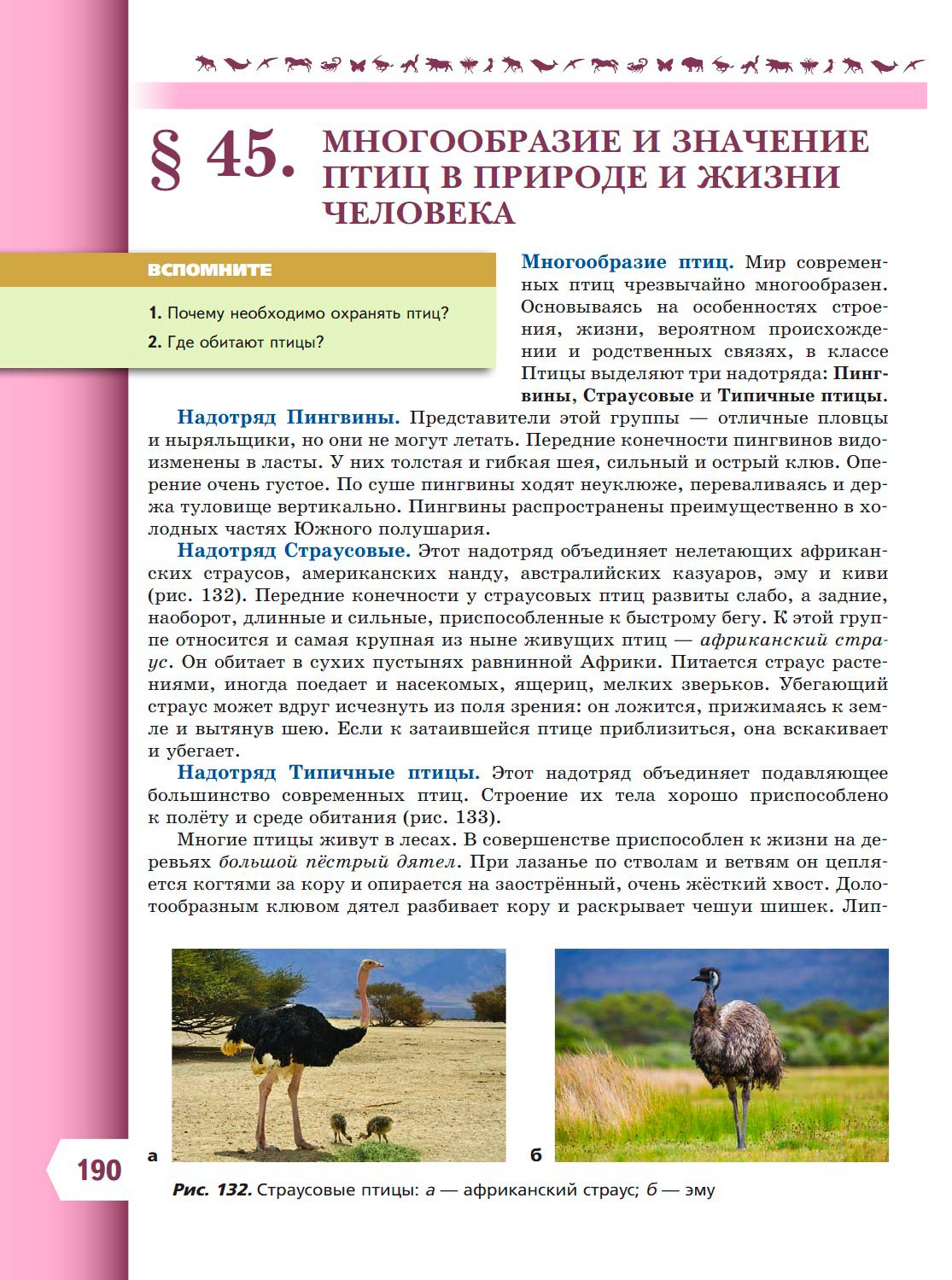  Биология 8 класс учебник Пасечник страница 190. 2023 год