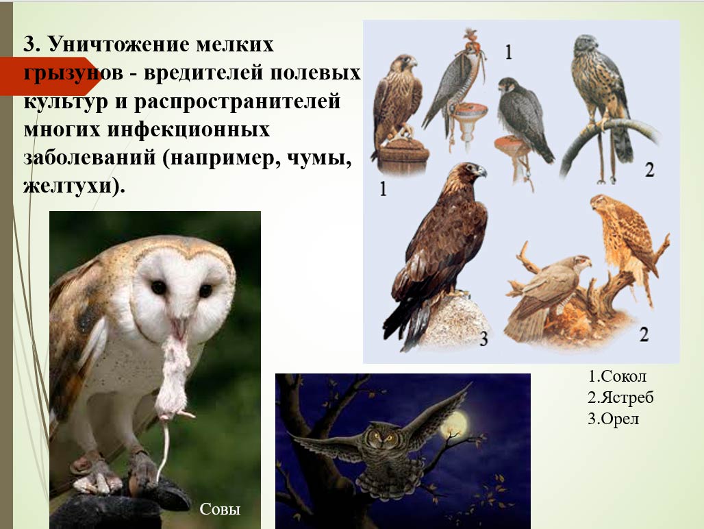 Биология 8 класс учебник Пасечник страница 193. 2023 год