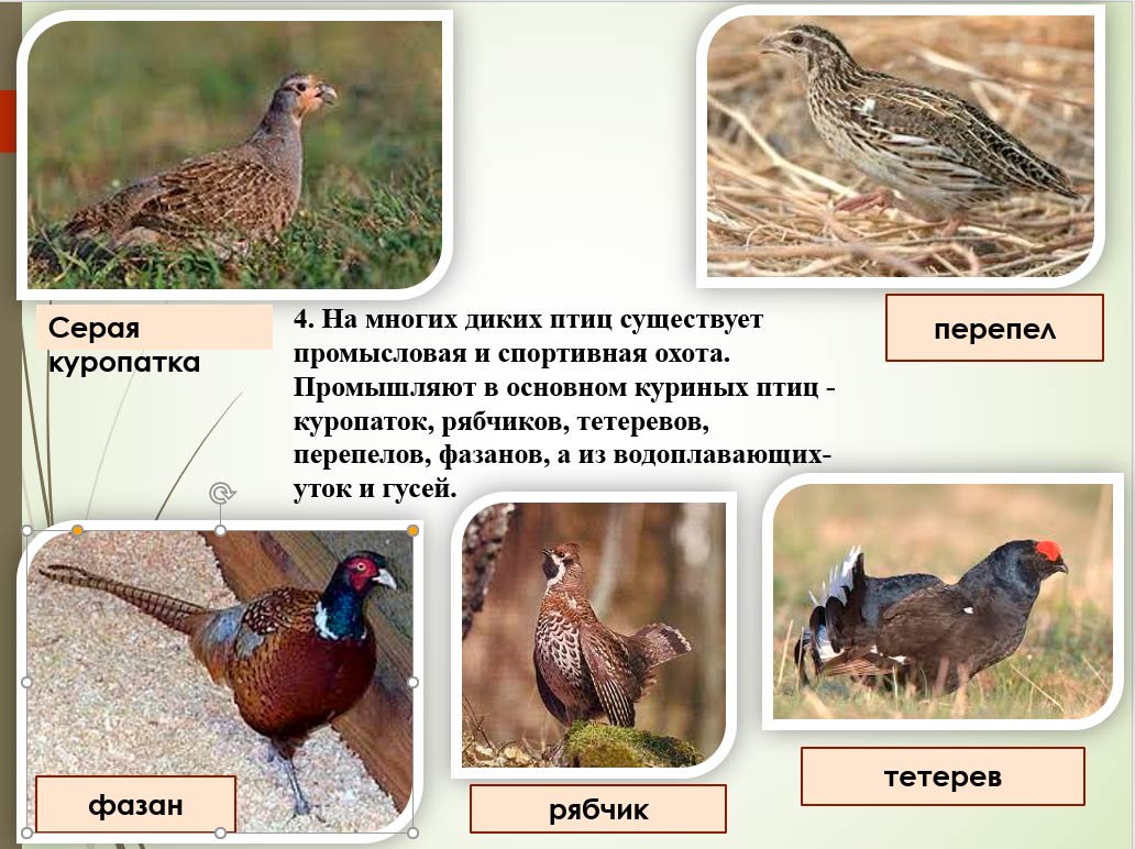  Биология 8 класс учебник Пасечник страница 193. 2023 год