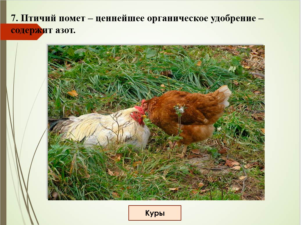  Биология 8 класс учебник Пасечник страница 193. 2023 год
