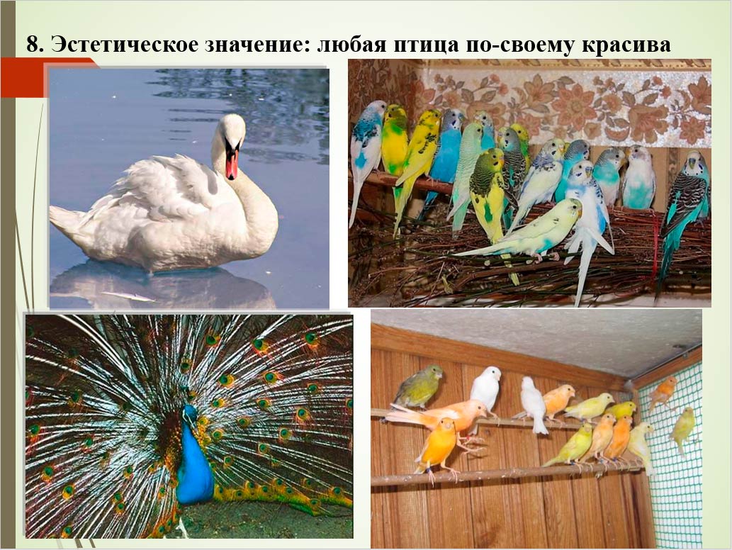  Биология 8 класс учебник Пасечник страница 193. 2023 год