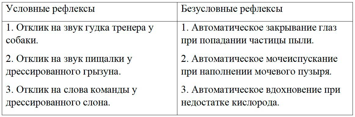  Биология 8 класс учебник Пасечник страница 205. 2023 год