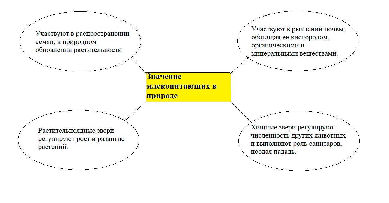  Биология 8 класс учебник Пасечник страница 218. 2023 год