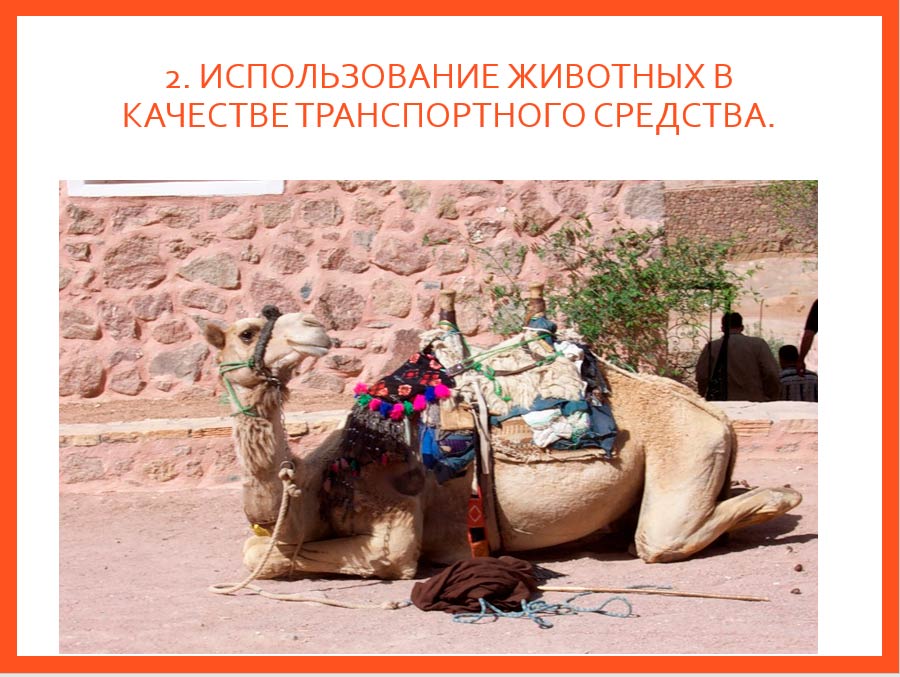  Биология 8 класс учебник Пасечник страница 218. 2023 год