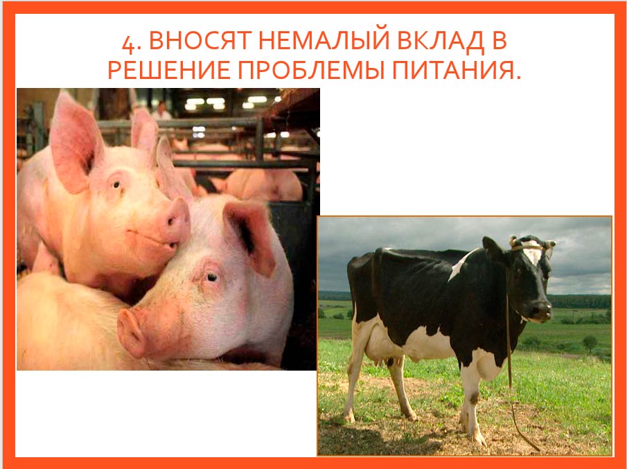  Биология 8 класс учебник Пасечник страница 218. 2023 год
