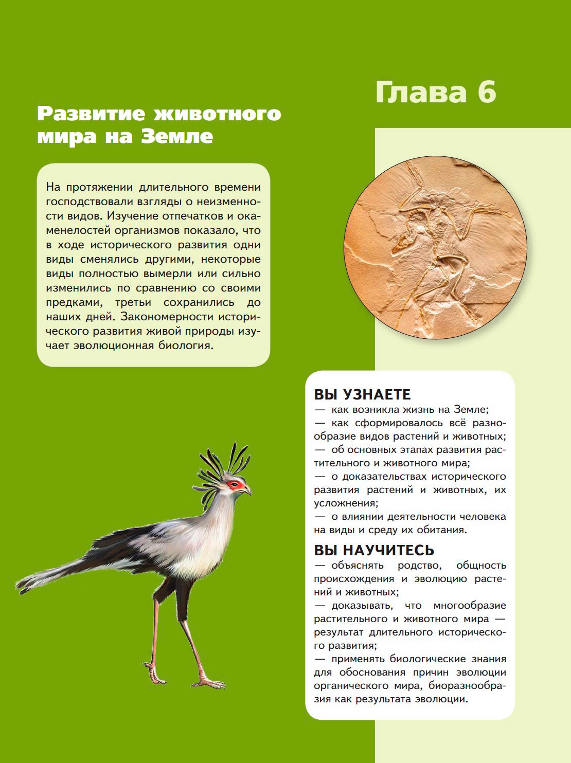  Биология 8 класс учебник Пасечник страница 223. 2023 год