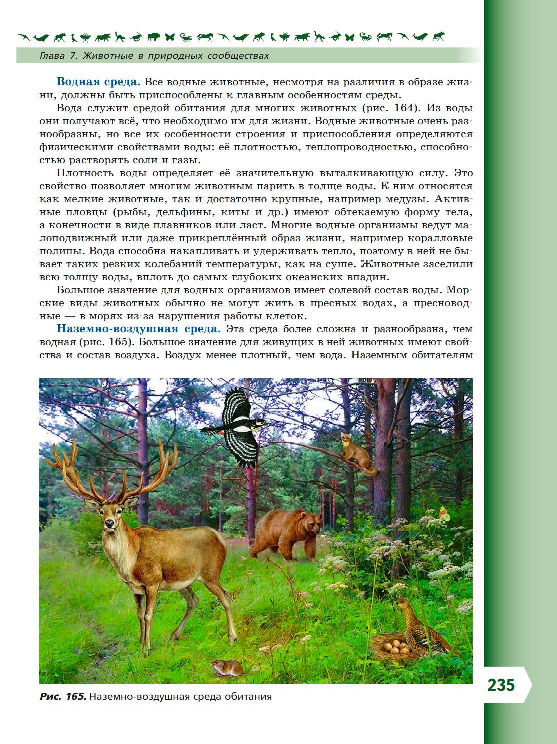  Биология 8 класс учебник Пасечник страница 235. 2023 год