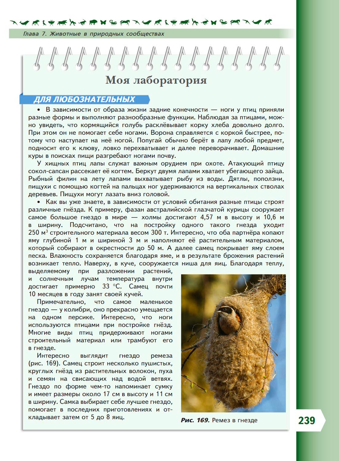  Биология 8 класс учебник Пасечник страница 239. 2023 год
