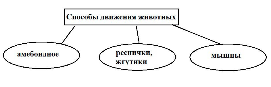  Биология 8 класс учебник Пасечник страница 24. 2023 год