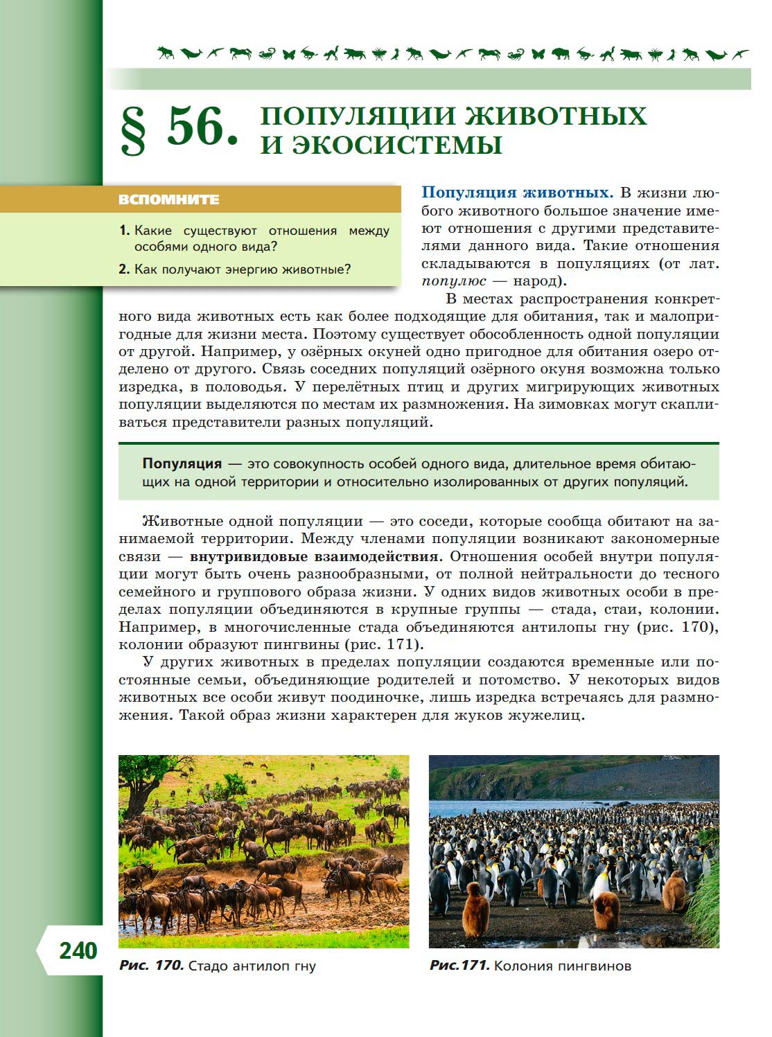  Биология 8 класс учебник Пасечник страница 240. 2023 год