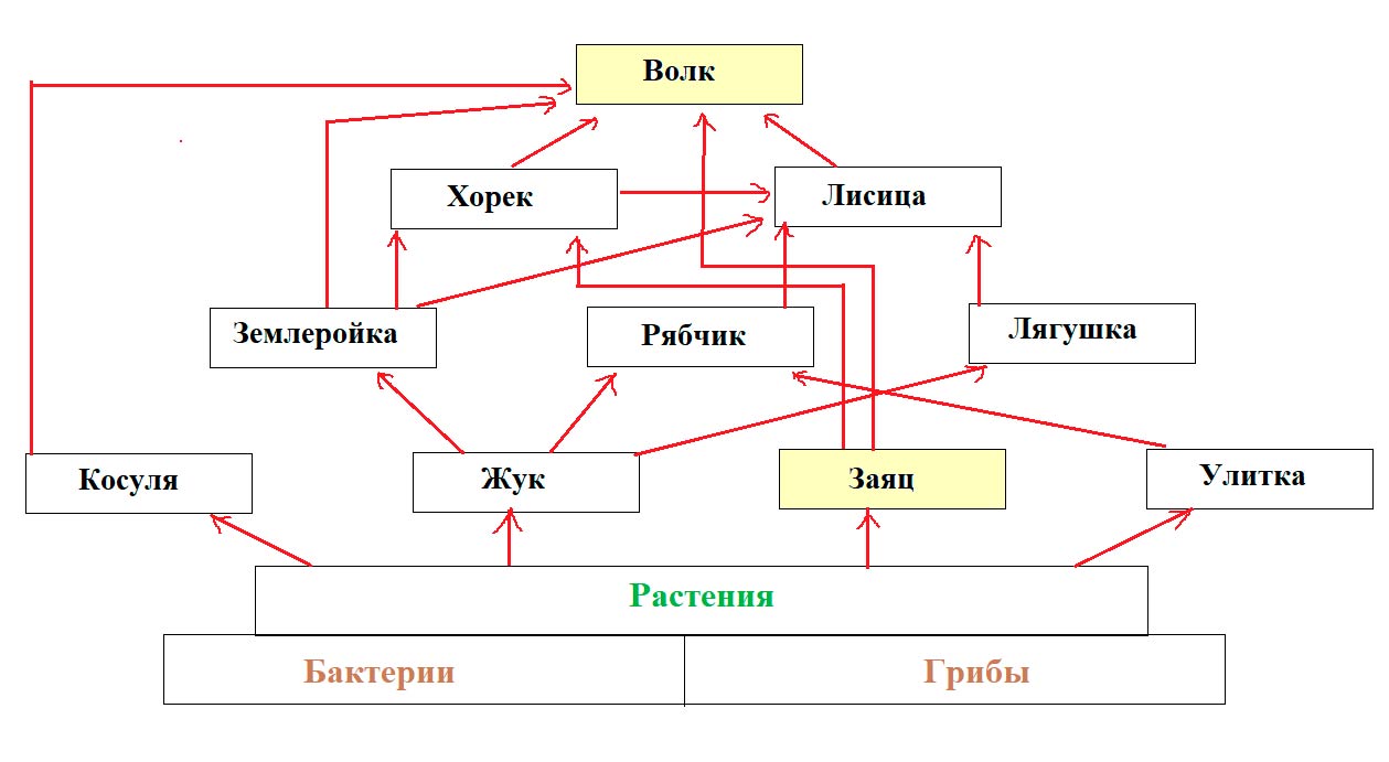  Биология 8 класс учебник Пасечник страница 242. 2023 год